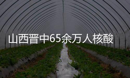 山西酸检射在线