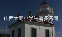 山西大同小学生遭多名同学辱骂
、殴打	
、欺凌，官方通报
