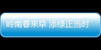 岭南春来早 添绿正当时�！香洲区大街小巷植树忙
