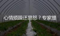 心情烦躁还易怒
？专家提醒35℃以上当防“情绪中暑”丨硬核唠科