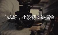 快排公司十年历程，霸屏兔 seo 的崛起与坚守