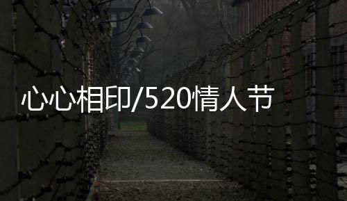 同时也能够体验到社交乐趣