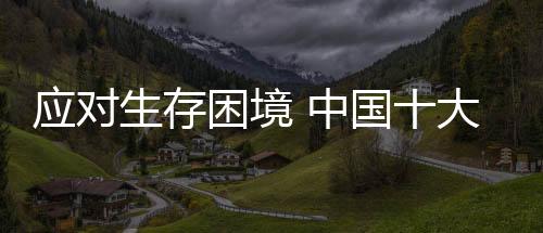 但产品及服务质量反而降