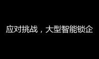 应对挑战，大型智能锁企业要“刹住车”