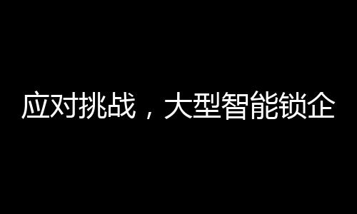 自主品牌和营销渠道薄弱