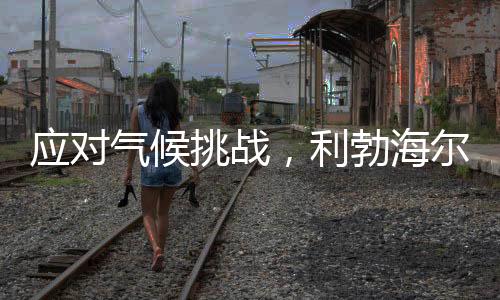利勃绿色配备电动机