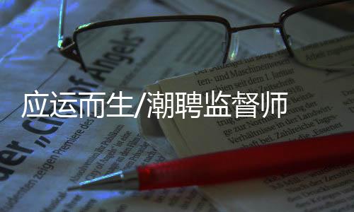 倒不如说是应运陪伴