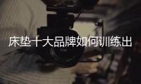床垫十大品牌如何训练出“秘籍”?