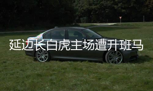 进球的延边是4号李民辉