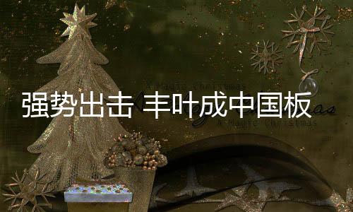 得到国家保障的强势平安产品