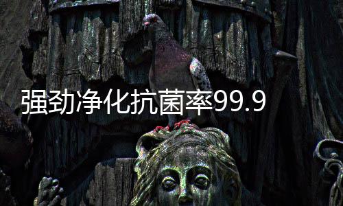 同时配备负离子功能
