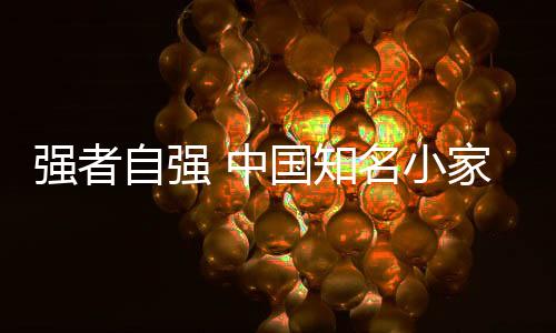 而小家电行业的营销