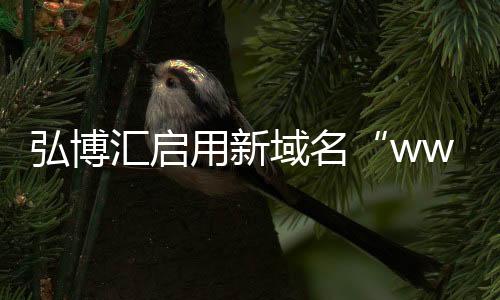 用新域名获得巨大成功