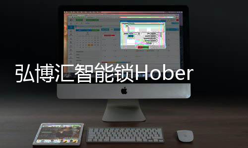 识别速度快、弘博汇智同时