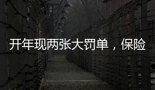 保险保险业机构处罚信息173条