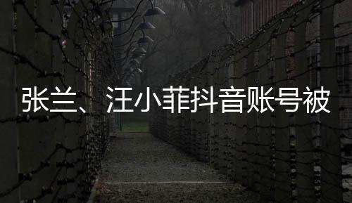菲抖希望逝者能够安息