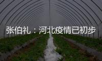 张伯礼：河北疫情已初步得到抑制 整体形势可控