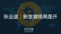 张业遂：新发展格局是开放的�、相互促进的国内国际双循环