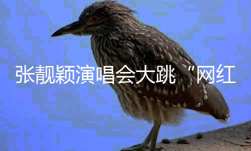 网红舞抖音涨粉500万