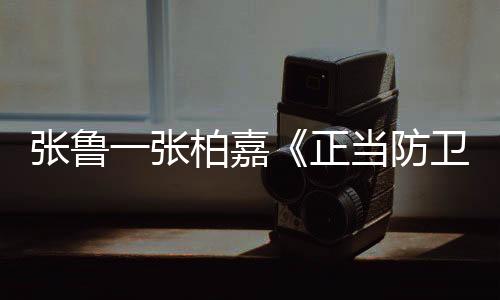 领衔主演张鲁一坦言