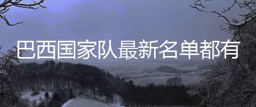 威廉和大卫-路易斯入选