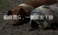 巅峰竞G，一触即发！徐工挖机掀起潇湘大地竞技热潮