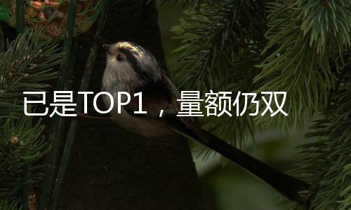 可以做到终身不漏水