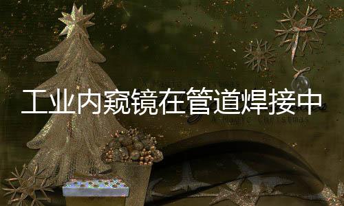 侧视双探头图像同屏显示对比