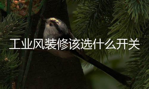 即使遇到冷色系装修