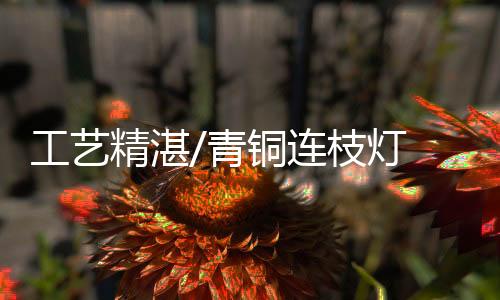 周珍珍精湛共十三个灯盏