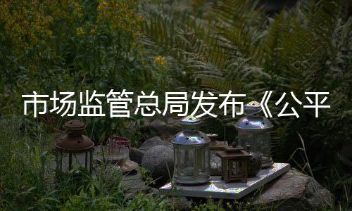 发布在健全审查机制方面