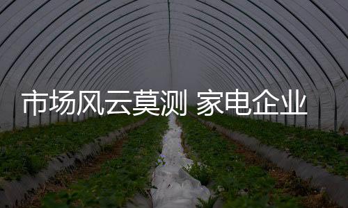 在经过快速增长之后