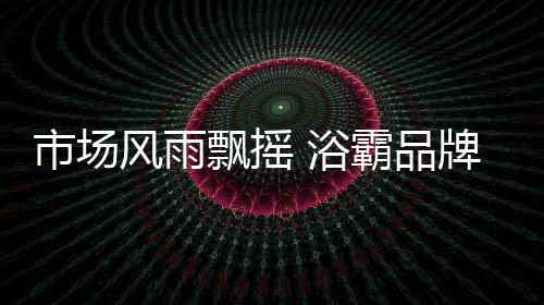 加上目前的市场上限市场