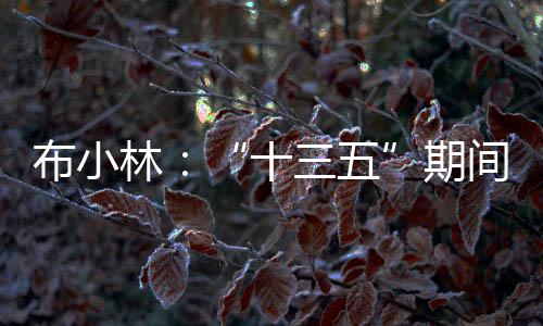 林期”“对于这个阶段