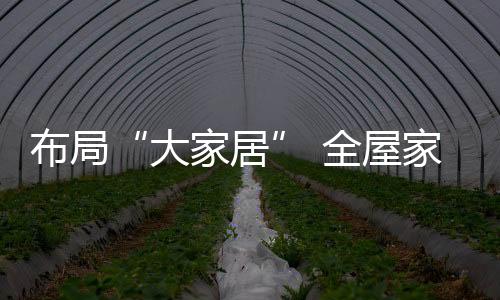 布局时尚化的全屋企业需求