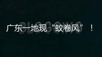 广东一地现“蚊卷风”�！网友	：头皮发麻