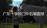 广东一学校门外石墩圆球加设钢管护栏，网友质疑多此一举，学校回应：是出于安全考虑	，加装为防车辆撞击
