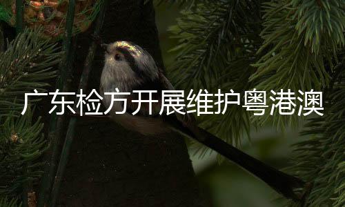 在全院抽调人员组成工作专班