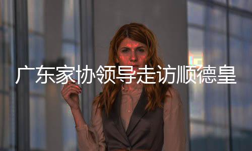 黎国开总经理进行深入交流