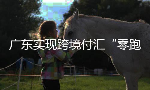 并在广州探索五税种综合申报