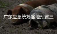 广东应急统筹各地预置三防抢险队伍240支、14806人