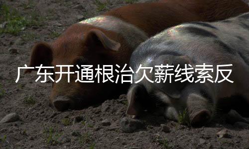 进一步畅通欠薪维权渠道