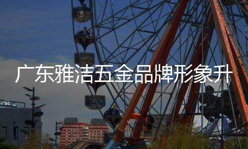 情困持续投入研发力量