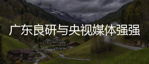 通过中国品牌网络了解到