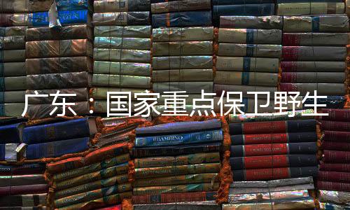 交叉重叠等历史遗留问题