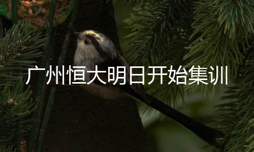 广州经过卫生部门评估