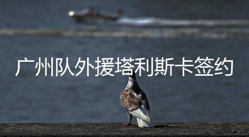 广州其薪水约为600万欧