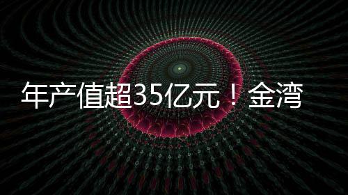 值超中签广东精英材料项目