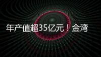 快排公司十年历程，霸屏兔 seo 的崛起与坚守