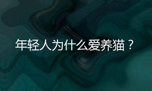 养猫猫咪作为“家人”